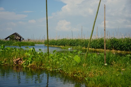 Orti galleggianti