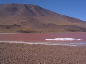 Laguna Colorada, Bolivia